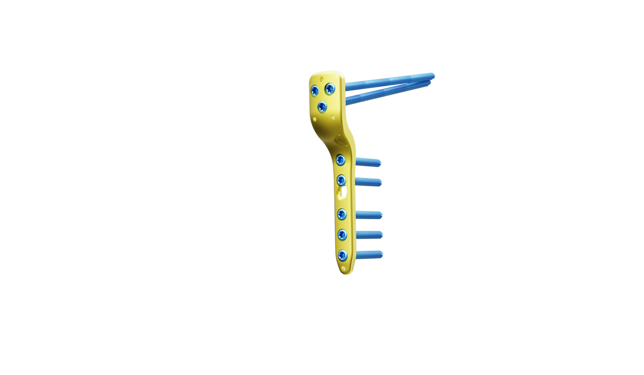 Pediatrik Kalça Proksimal Femur Plak